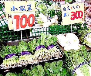 白菜の「菜」と小松菜の「菜」、漢字は同じなのになぜ呼び名が違う