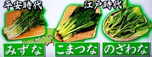白菜の「菜」と小松菜の「菜」、漢字は同じなのになぜ呼び名が違う